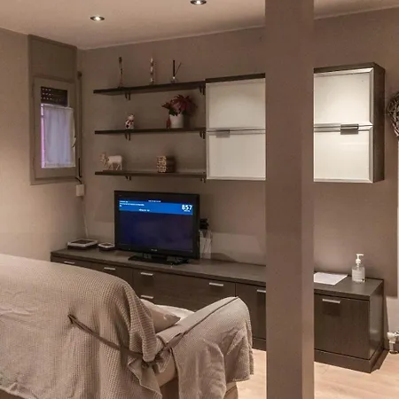 Acogedor Y Centrico Apartment Puigcerda